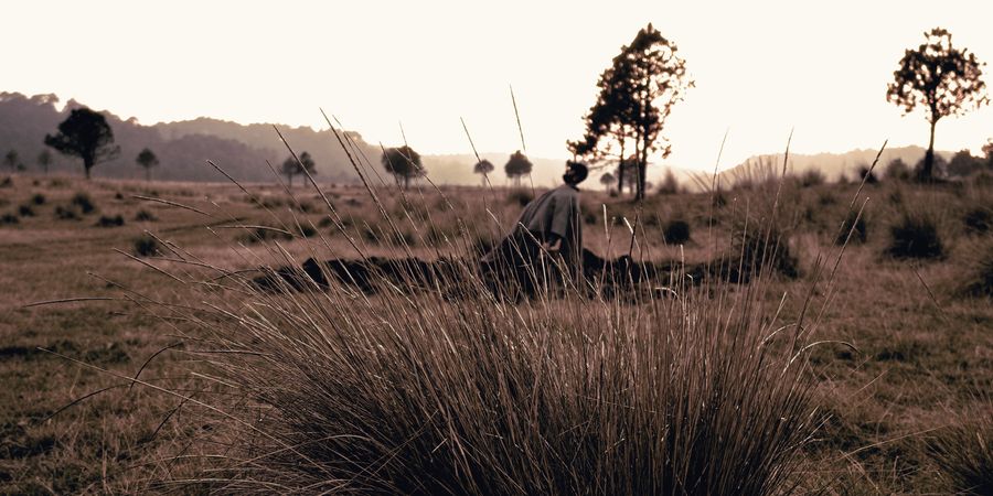 un campo abierto de pasto con losiento a lo lejos
